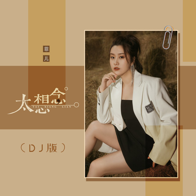 太想念 (DJ版)
