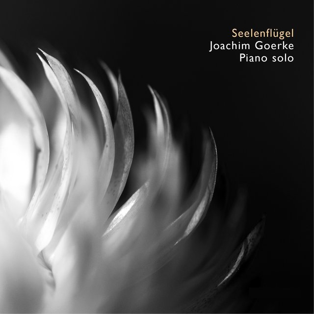 Seelenflügel (Piano & Vocal)