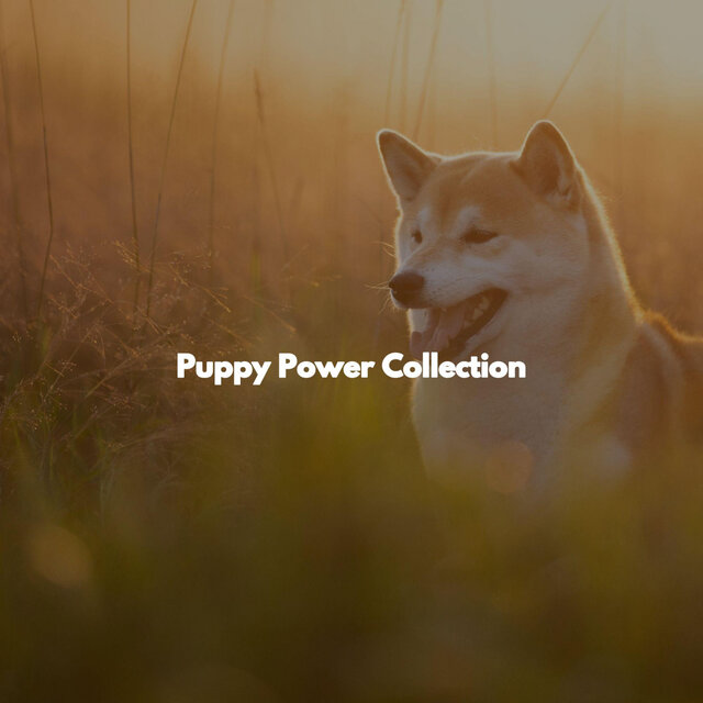 Puppy Power Collection