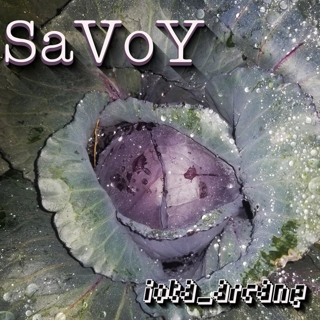 Savoy