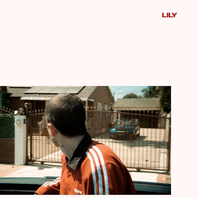 Lily
