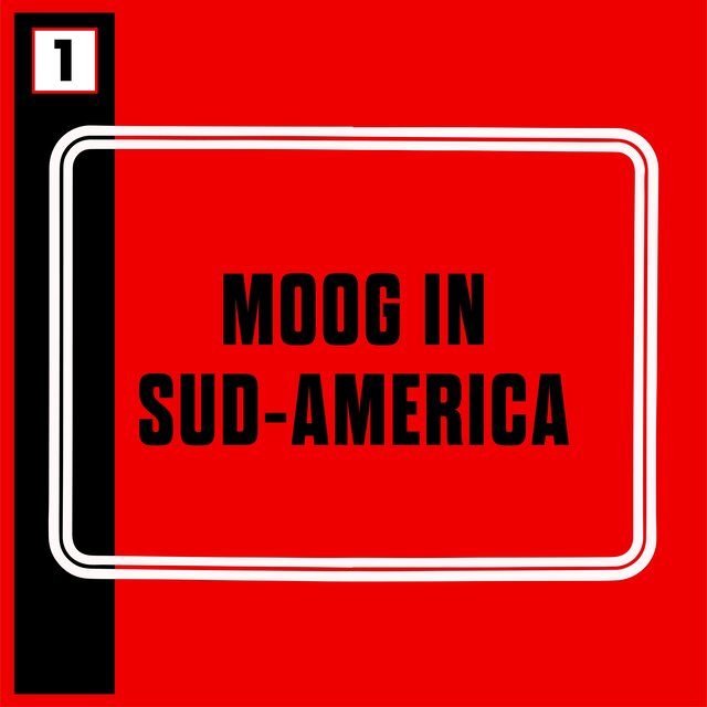 Moog in Sud-America