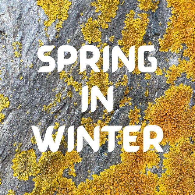 Spring in Winter