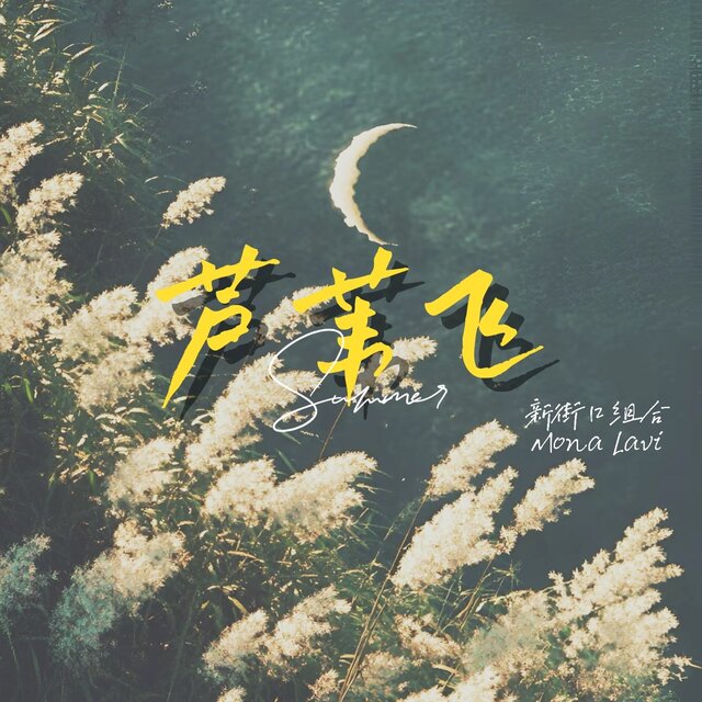 芦苇飞
