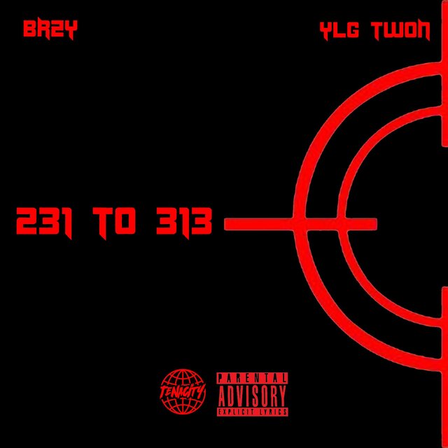 231 TO 313 (feat. YLG TWON)