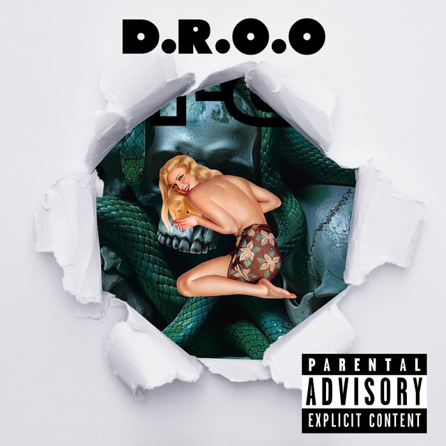D.R.O.O