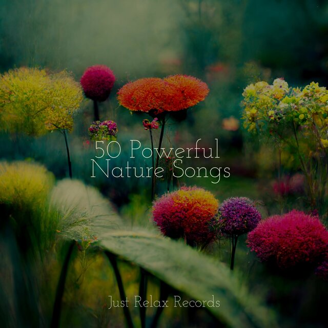 50 Powerful Nature Songs