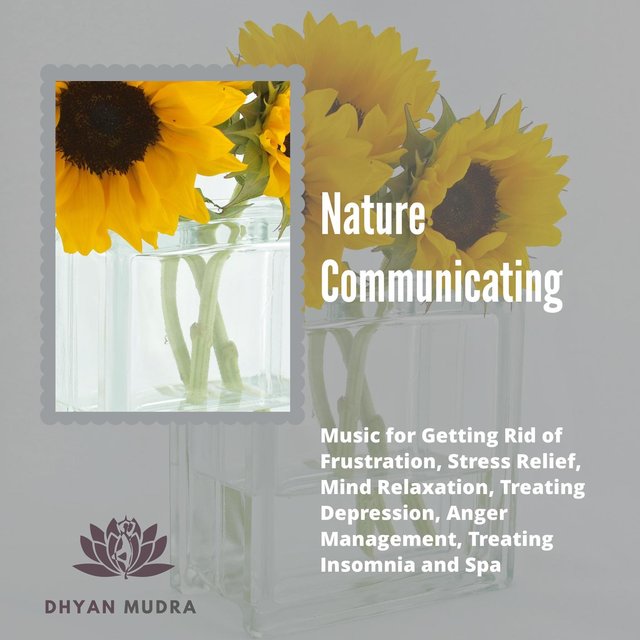 Nature Communicating (Music For Getting Rid Of Frustration, Stress Relief, Mind Relaxation, Treating Depression, Anger Management, Treating Insomnia And Spa)