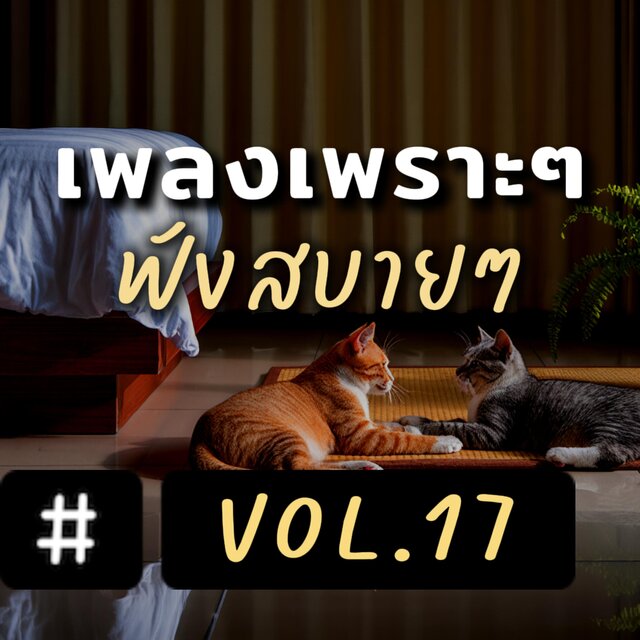 เพลงเพราะๆ ฟังสบายๆ อัลบั้ม 17