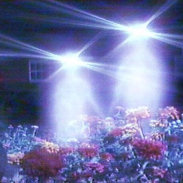 FEVER DREAM