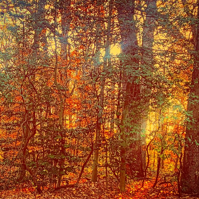 Autumn's End