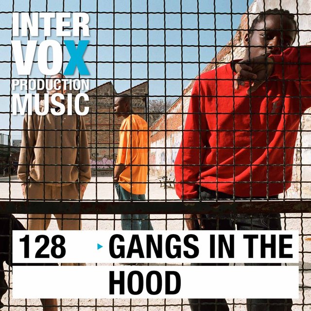 Gangs in the hood