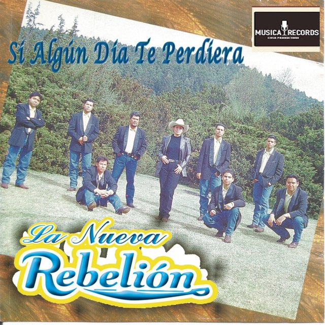 Si Algún Dia Te Perdiera