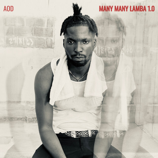 Many Many Lamba 1. 0