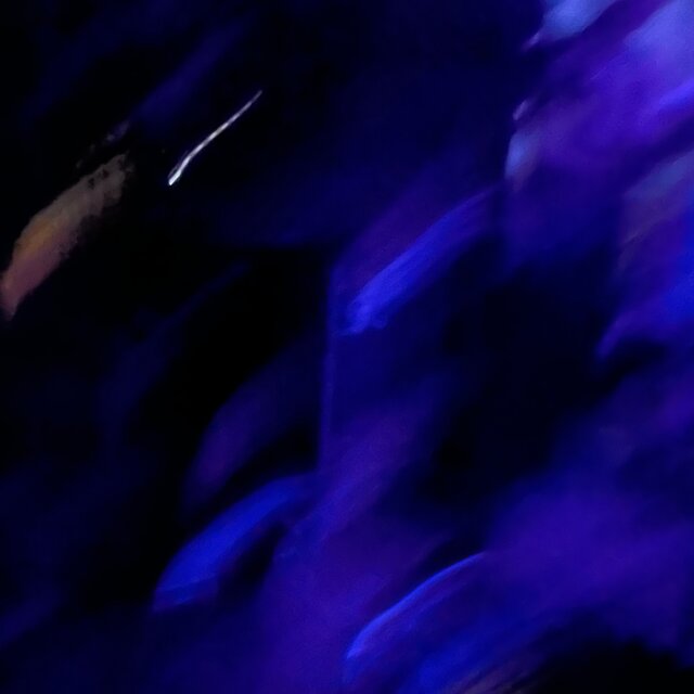 Traffic Blue