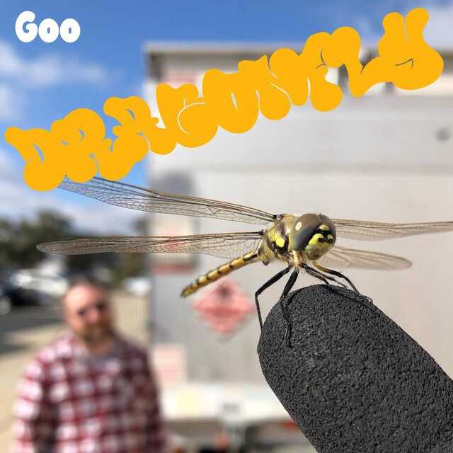 Dragonfly