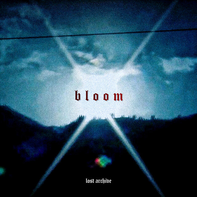 Bloom