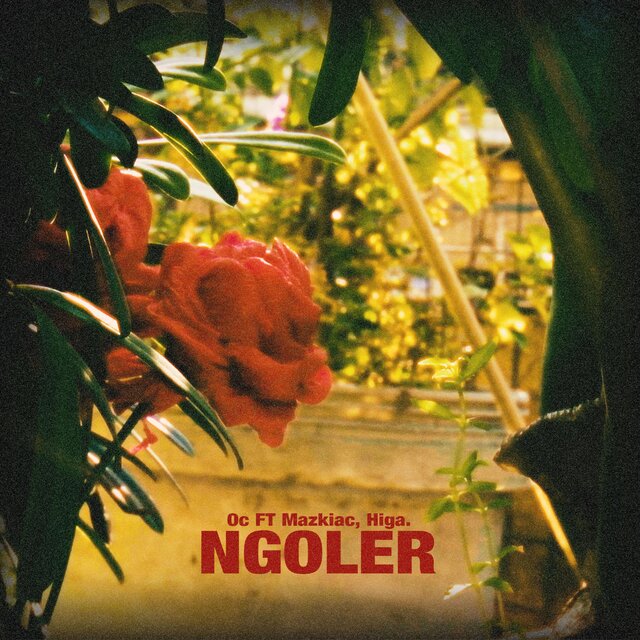 NgoLer (feat. Higa & Mazkiac)