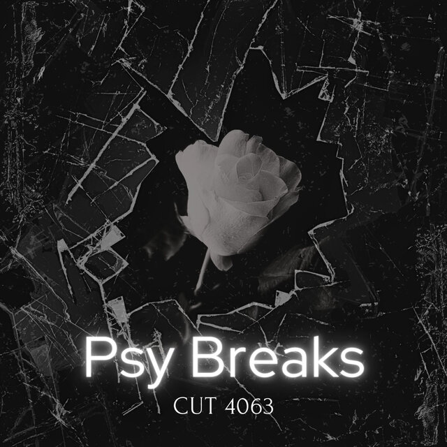 Psy Breaks