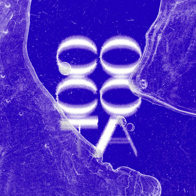 Cocota
