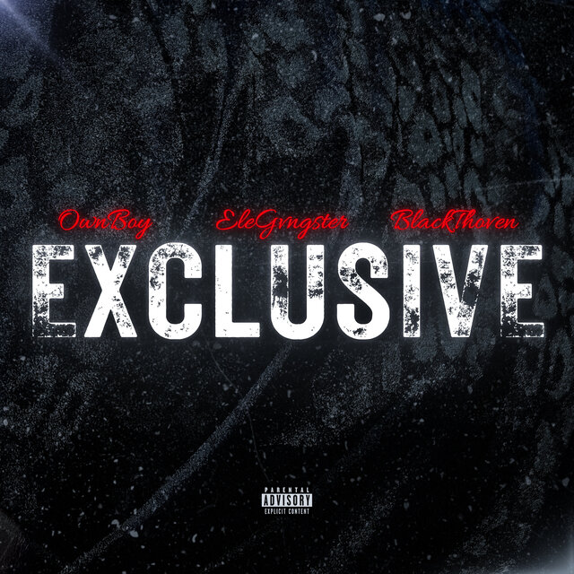 EXCLUSIVE