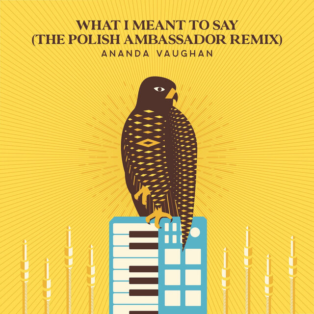 What I Meant To Say (The Polish Ambassador Remix)