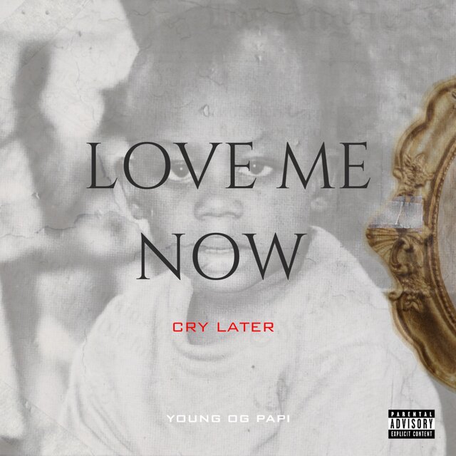 Love Me Now Cry Later