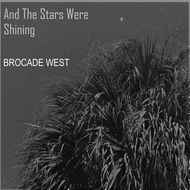 And The Stars Were Shining