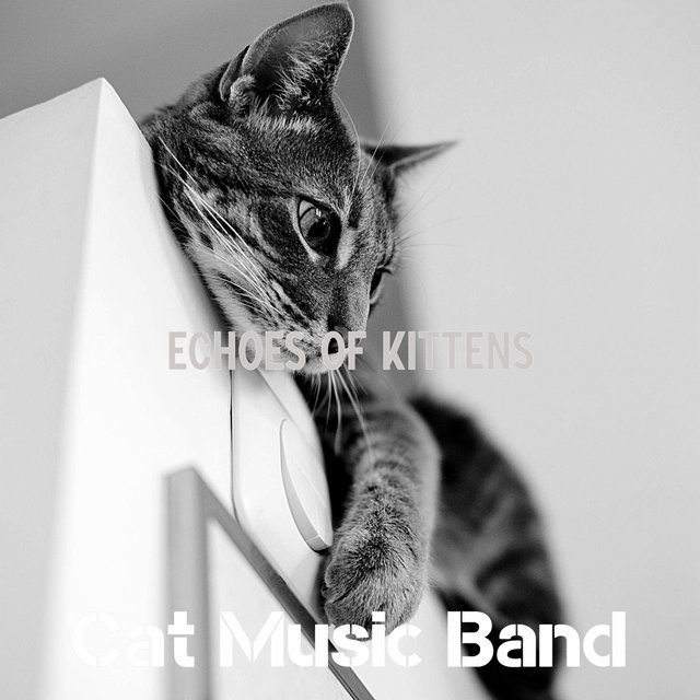 Echoes of Kittens