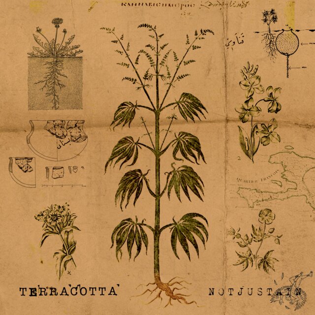 Terracotta