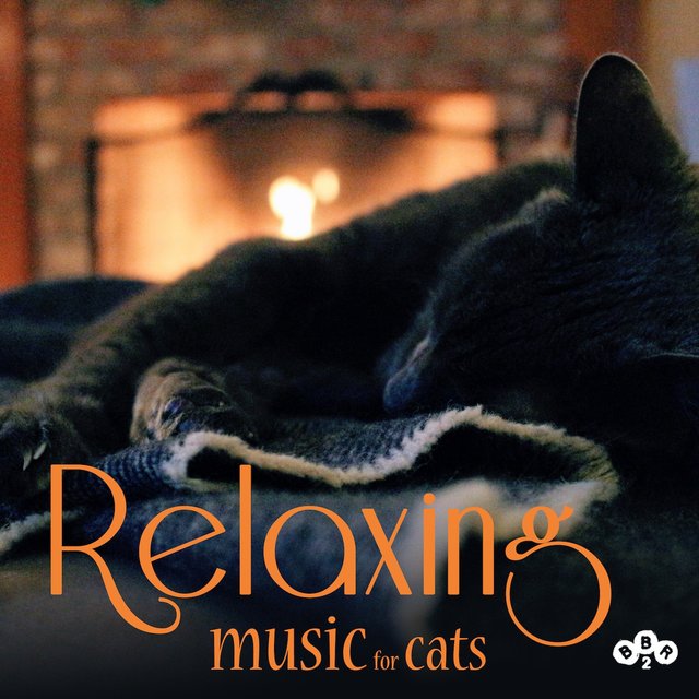 Relaxing Music for Cats