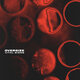 Cover art for album Vital Signs by OversiZe