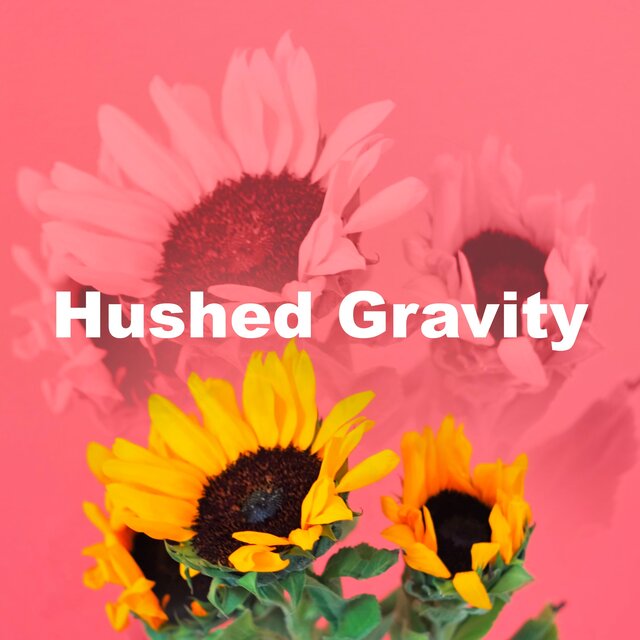 Hushed Gravity