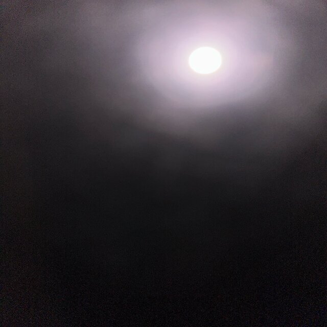lights