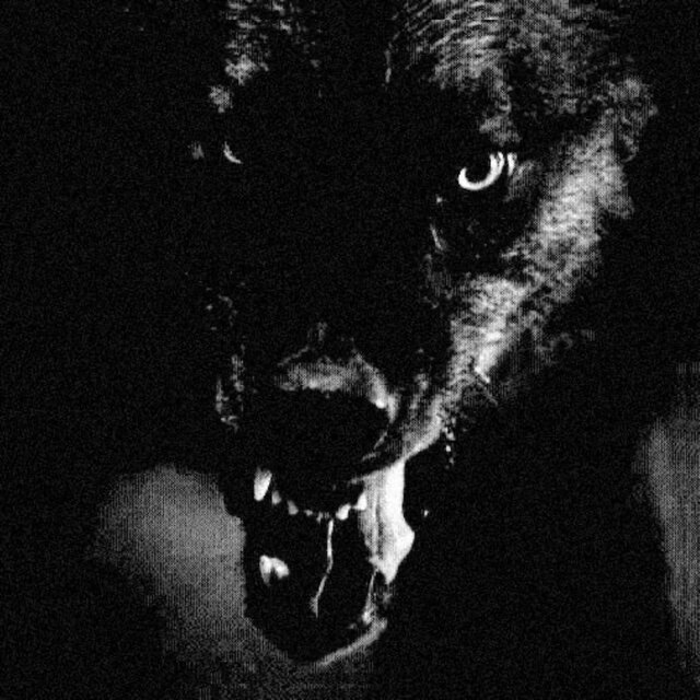 BIG BAD WOLF