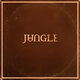 Cover art for album Sunshine by Jungle