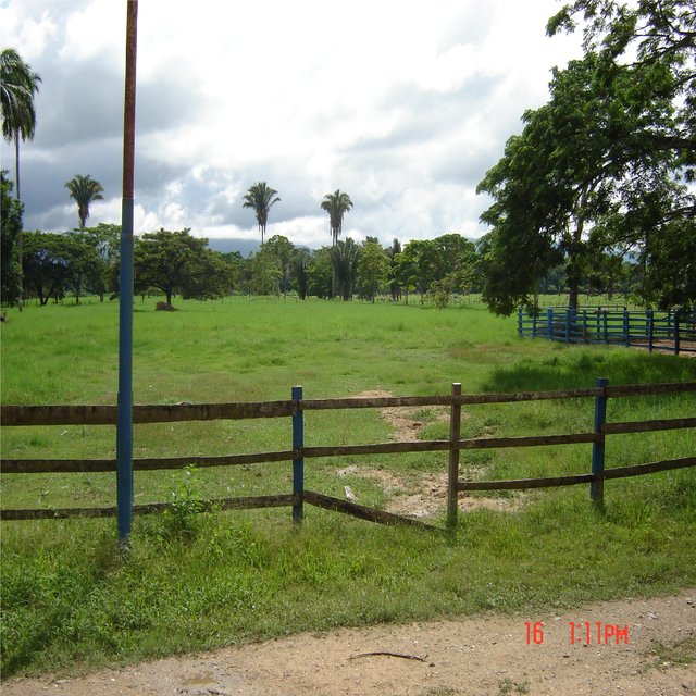 Llano Lindo