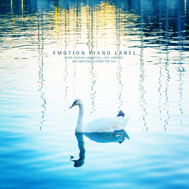 Music for quiet meditation (meditation piano)