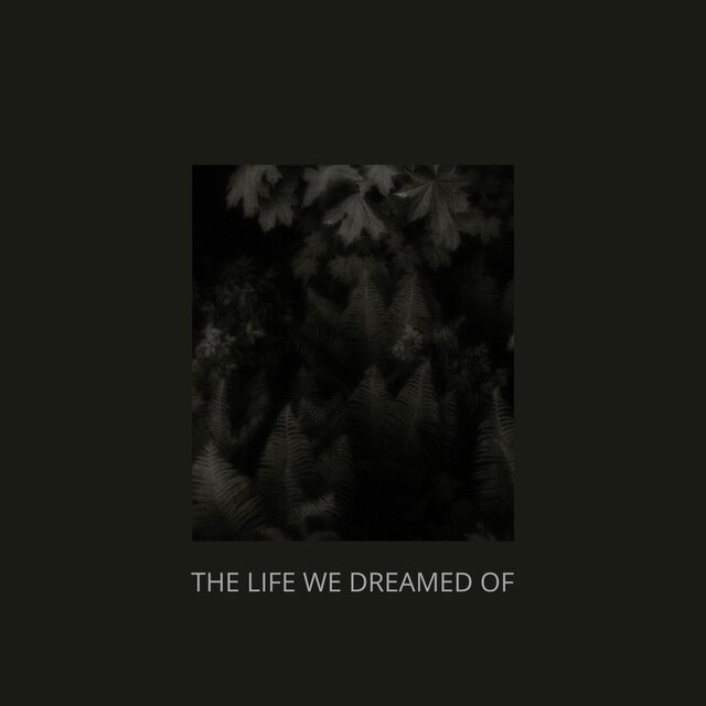 The life we ​​dreamed of
