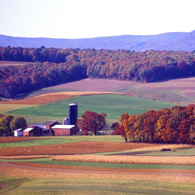 Peaceful Pennsylvania