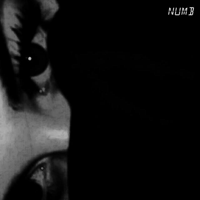 NUMB