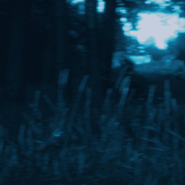 falling rays (slowed & speed up)