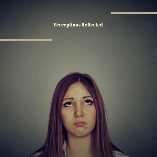 Perceptions Reflected