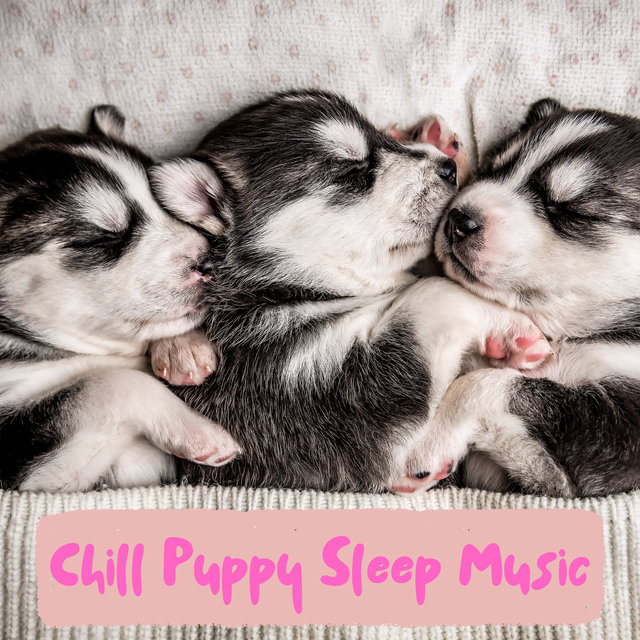 Puppy Music For Sleeping (Calm Puppies Down)