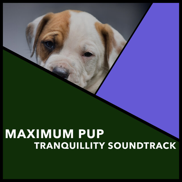 Maximum Pup Tranquillity Soundtrack