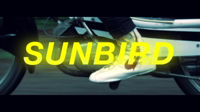 Sunbird