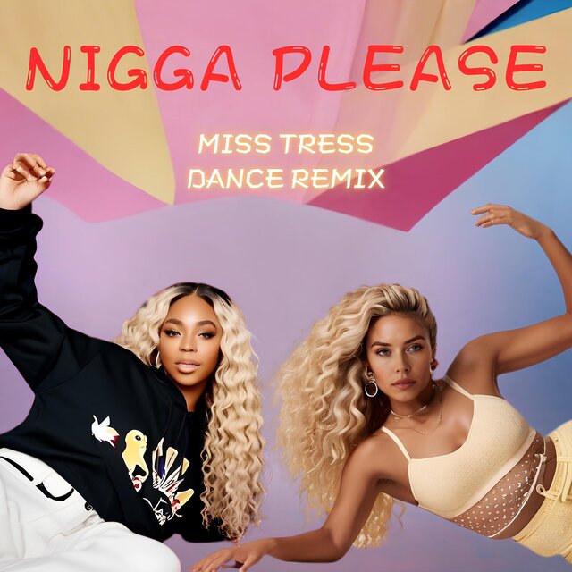 Nigga Please (Miss Tress Dance Remix)