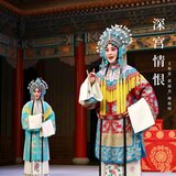 被抓入宫