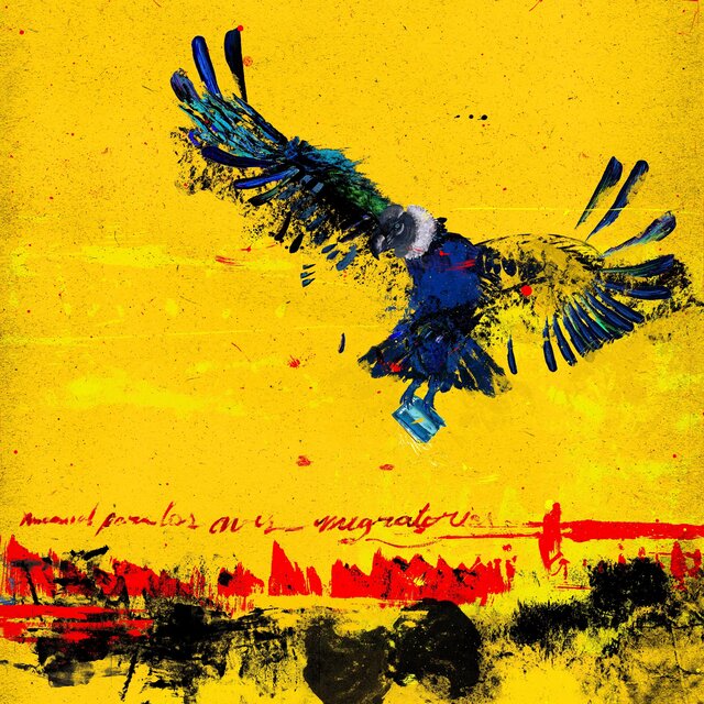 MANUAL PARA LAS AVES MIGRATORIAS