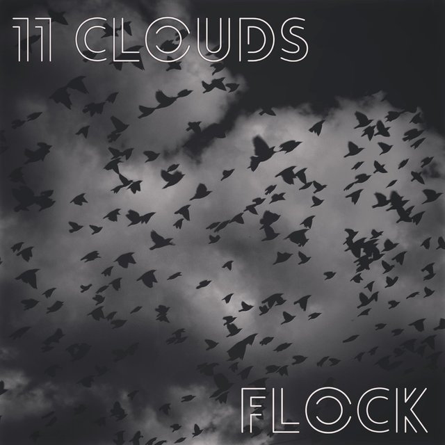 Flock